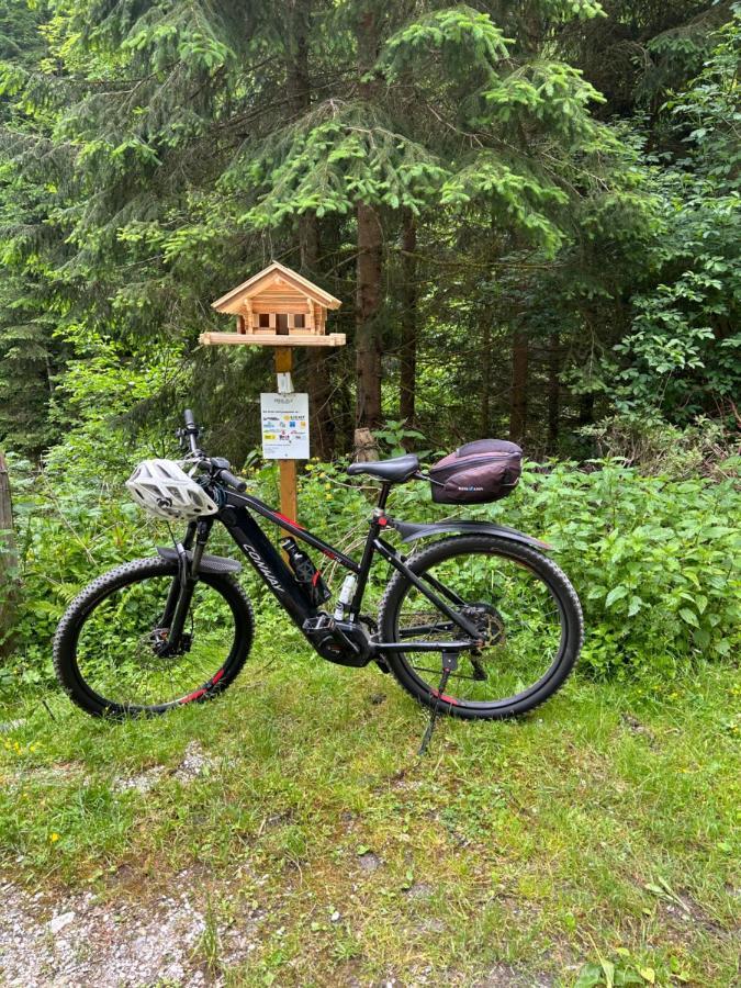Haus Laubreuter Appartement Kaprun Buitenkant foto