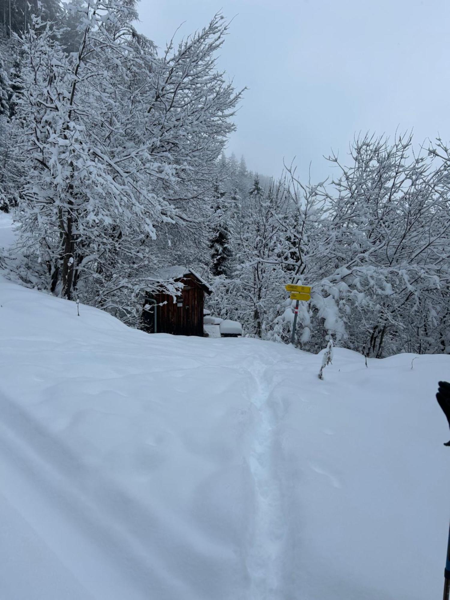 Haus Laubreuter Appartement Kaprun Buitenkant foto
