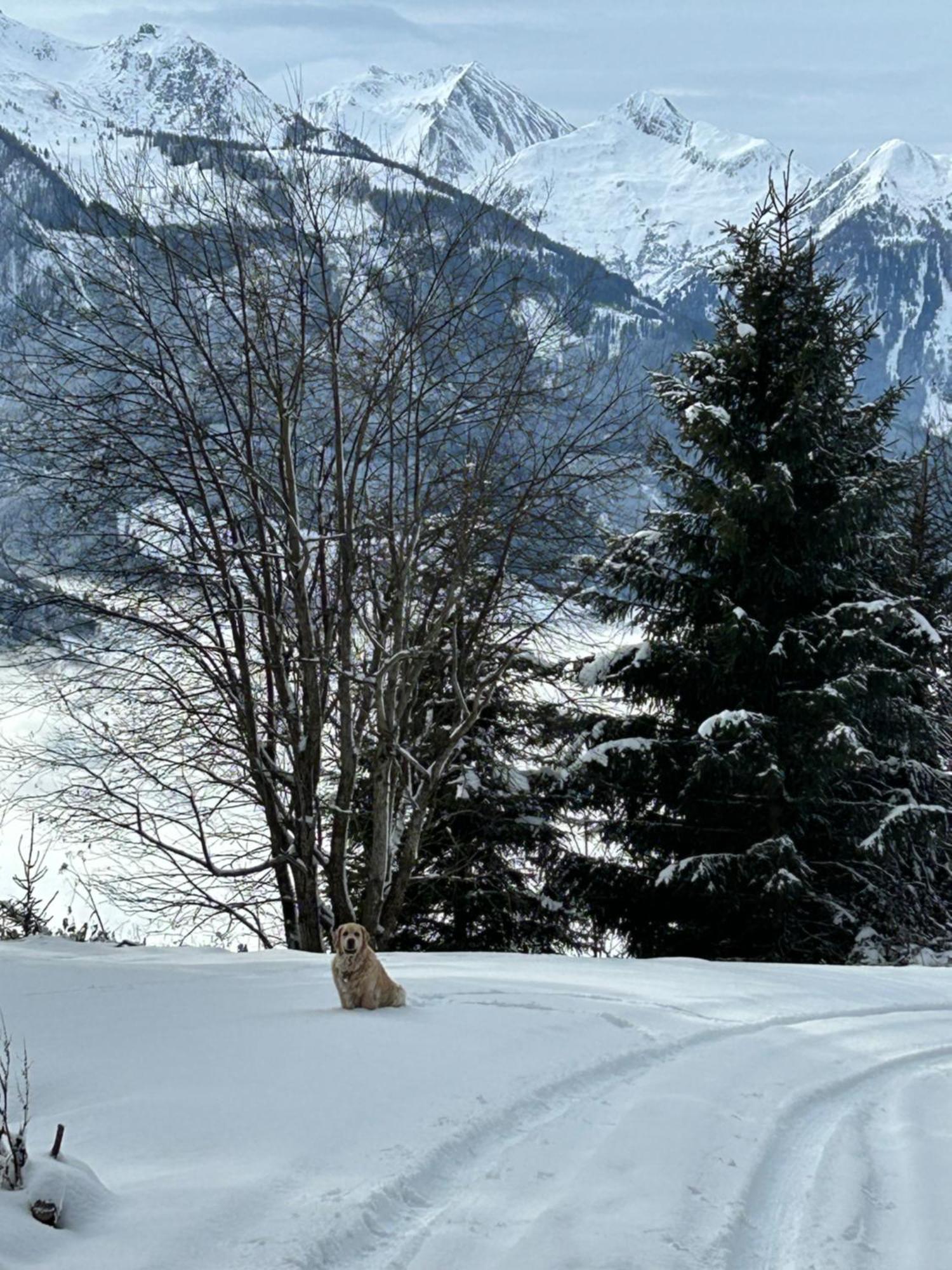 Haus Laubreuter Appartement Kaprun Buitenkant foto